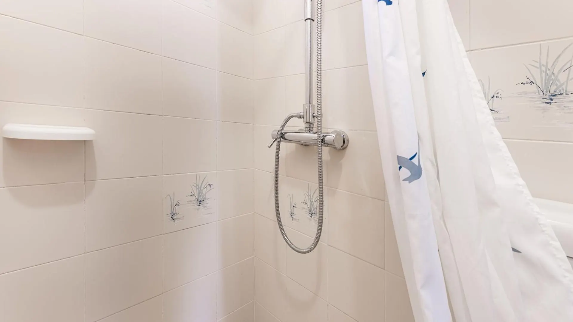 Vicolo Del Maestro - Goelba Apartment Marciana Marina